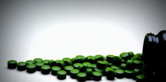 Chlorella