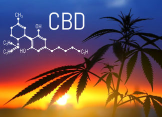 5 rzeczy, które wyróżniają olejki CBD Sequoyalife 5 rzeczy, które wyróżniają olejki CBD Sequoyalife