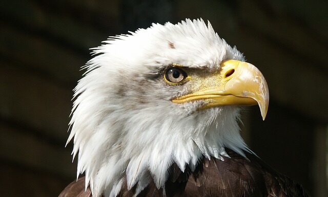 Ile osób ginie rocznie na Orlej Perci? Ile osób ginie rocznie na Orlej Perci?