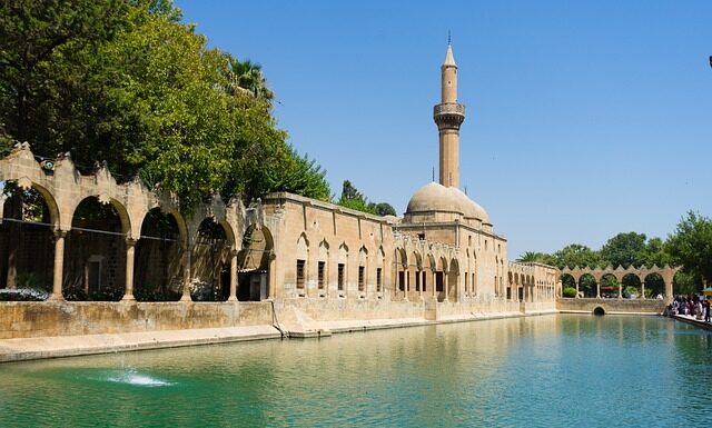 Jaka wędka karpiowa do wywózki?