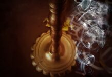 Ile kosztują żywe konie?