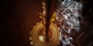 Ile kosztują żywe konie?