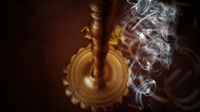 Ile kosztują żywe konie? Ile kosztują żywe konie?