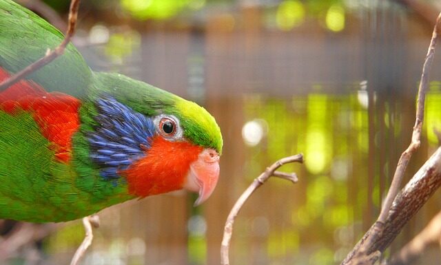 Czym powinny charakteryzować się stale łożyskowe?