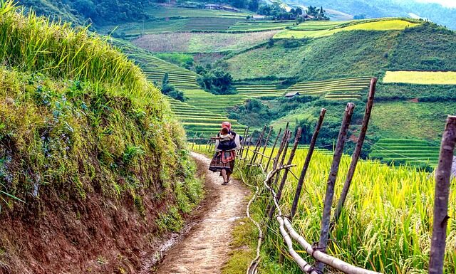 Co to jest ślepa latarka? Co to jest ślepa latarka?