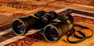 Jaka lornetka 12x50 czy 10x50?