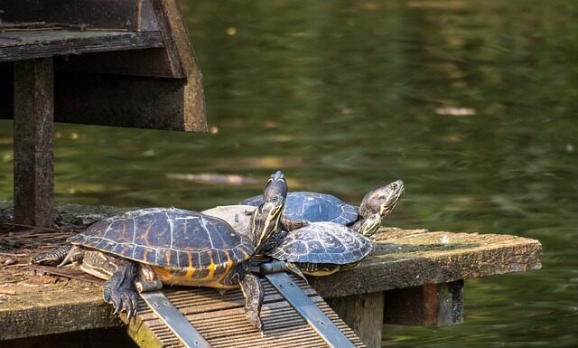 W jakich warunkach przechowywać dętki?