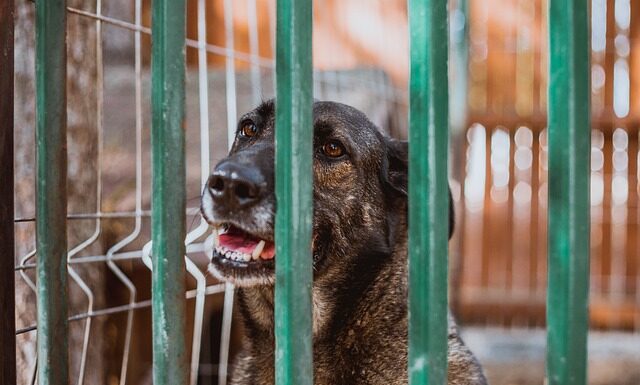 Co zamiast kojca dla dziecka?