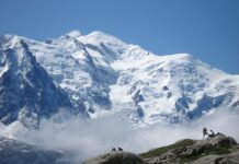 Co można zjeść jako przekąskę? Co można zjeść jako przekąskę?