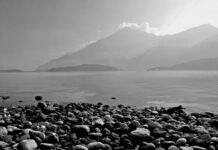 Ile kosztuje karton Paczków w Biedronce? Ile kosztuje karton Paczków w Biedronce?