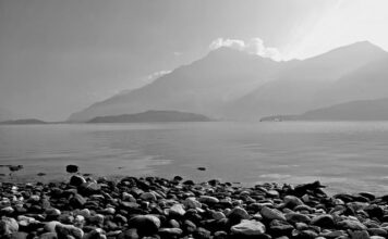 Ile kosztuje karton Paczków w Biedronce?