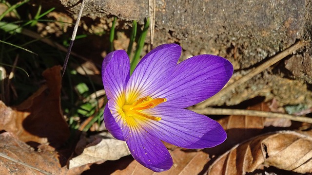 Czy harpun jest legalny? Czy harpun jest legalny?