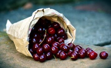 Czy można zbierać łuski ze strzelnicy?