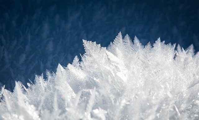 Czy warto kupić łódkę zanętową? Czy warto kupić łódkę zanętową?