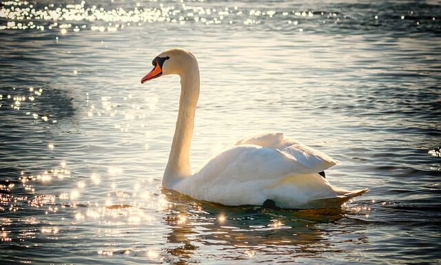 Jak długo dziecko śpi w łóżeczku 120x60?