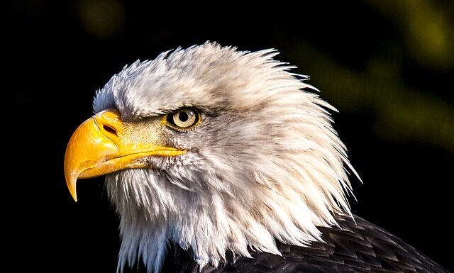 Jaka uprząż na Orla Perć?