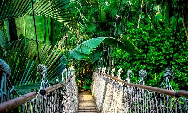 Czym przeciąć line stalowa? Czym przeciąć line stalowa?