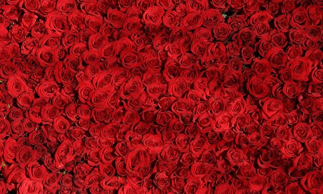 Czym się różni łuk bloczkowy od zwykłego?