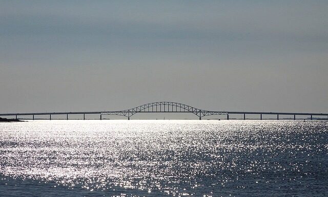 Z czego robi się cięciwę do łuku?