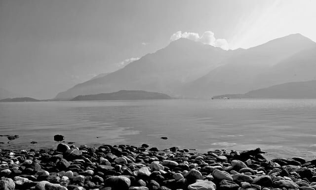 Ile kosztuje ławka ze sztangą?