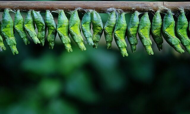 Czy dziecko może spać w kokonie? Czy dziecko może spać w kokonie?