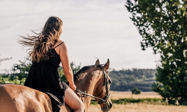 Czy jazda na koniu jest trudna? Czy jazda na koniu jest trudna?