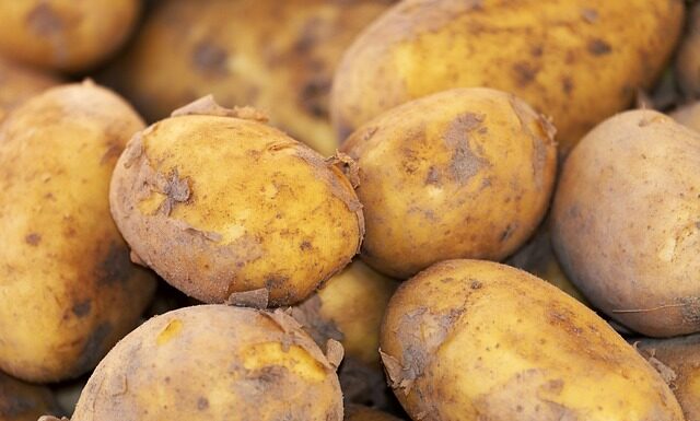 Ile kalorii ma ziemniak?