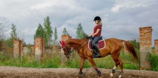 Czym się rożni kojec od łóżeczka turystycznego?