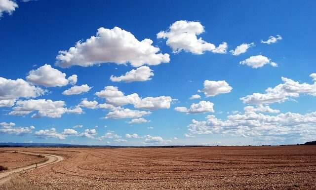 Czy suche wafle są lekkostrawne?