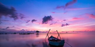 Jaki kolor kurtki narciarskiej?