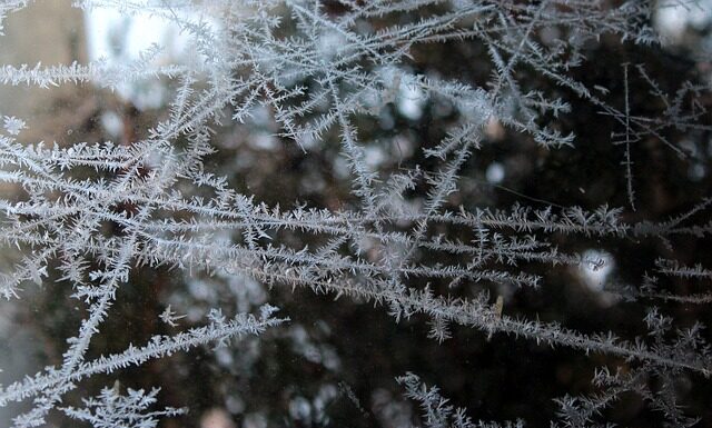 Ile trzeba mrozić wkłady do lodówki turystycznej? Ile trzeba mrozić wkłady do lodówki turystycznej?