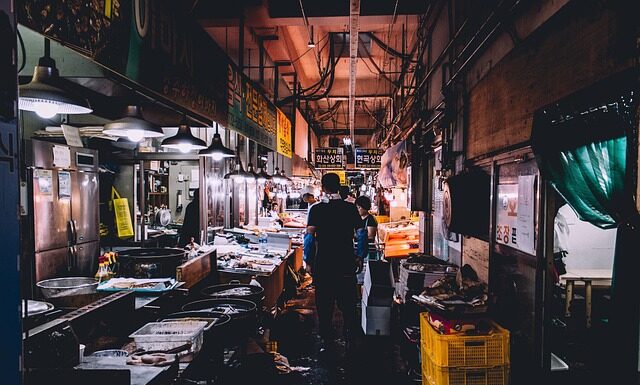 Jak zrobić lodówkę na biwaku?