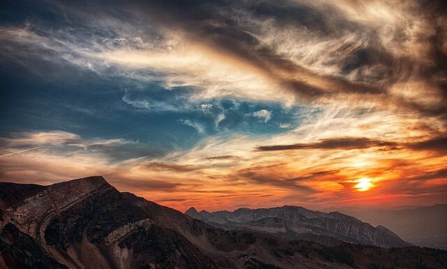 Ile kosztuje godzina hipoterapii? Ile kosztuje godzina hipoterapii?