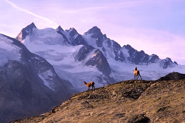 Co zabrać na trekking w Himalaje?