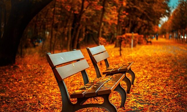 Ile waży ławka do wyciskania?