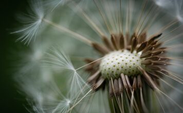 Czy puchowe kurtki są ciepłe?