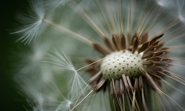 Czy puchowe kurtki są ciepłe? Czy puchowe kurtki są ciepłe?