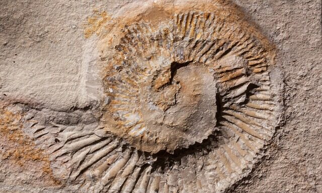 Jak zamontować Deeper? Jak zamontować Deeper?