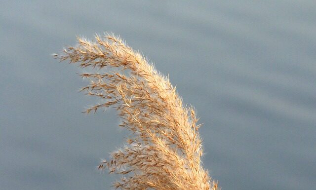 Czym się różnią kurtki narciarskie od snowboardowych?